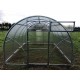 Greenhouse «SIGMA»