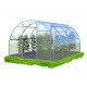 Greenhouse "ALFA"