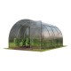 Greenhouse "ALFA"