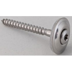 Stainless steel screws with washers